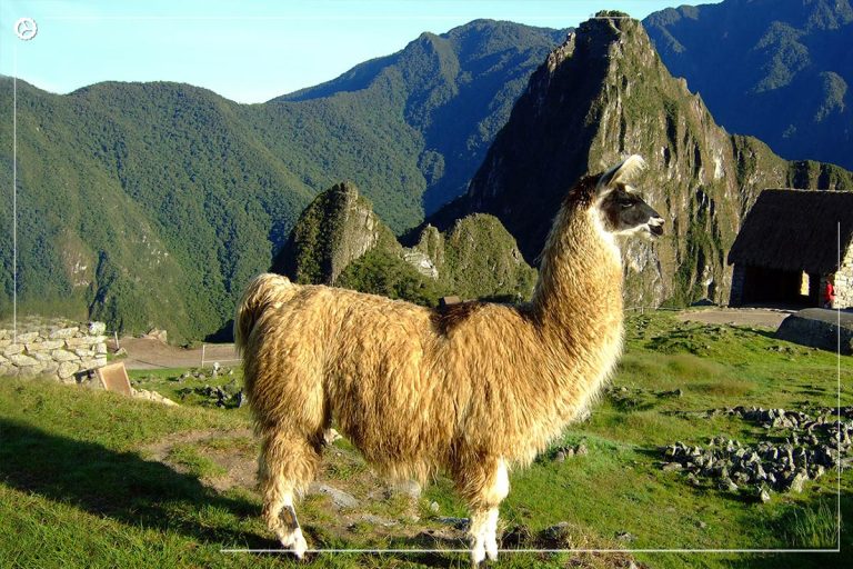Cusco-to-Machu-Picchu-Journey