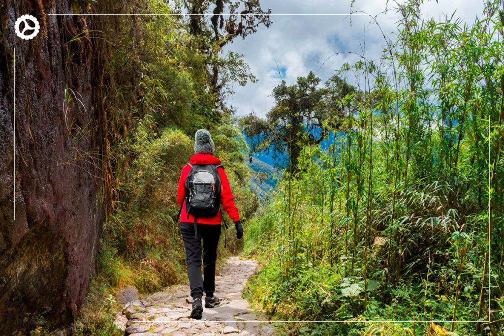 Tourist strolling amidst green scenery on the Inca Trail