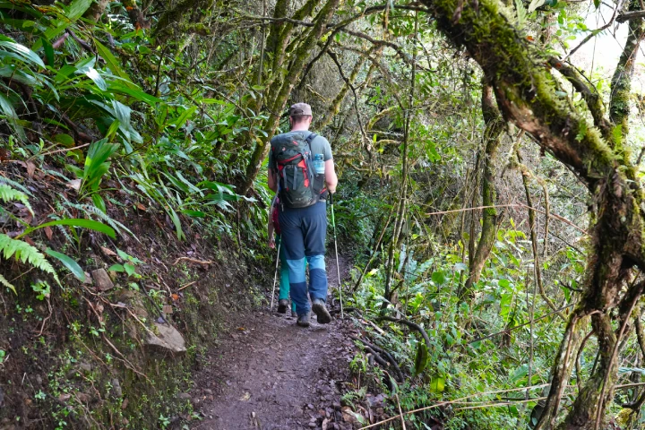 Best Flights to Peru: Airlines, Routes & Travel Tips 3 Trekking in the Peruvian Andes