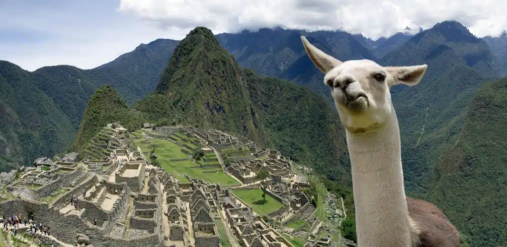 Visit Machu Picchu