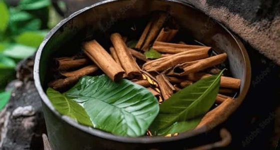 Preparación de ayahuasca con trozos de liana y hojas verdes en una olla