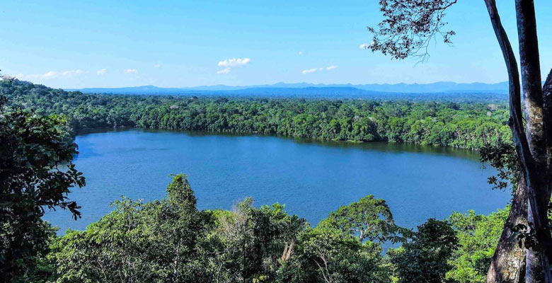 Madidi National Park in Bolivia, one of the most biodiverse tourist attractions in the country