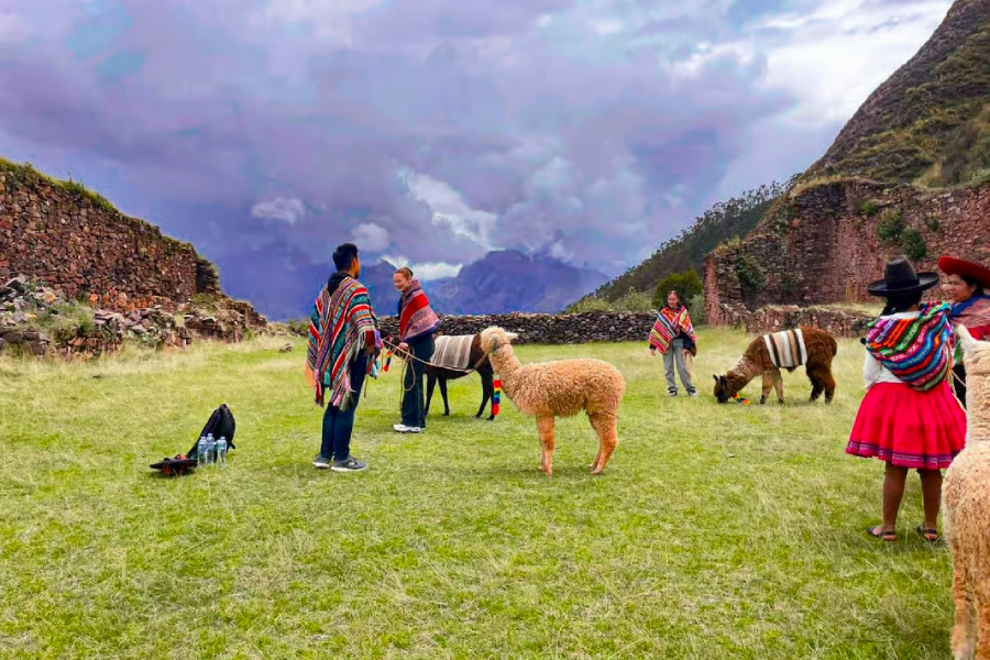 Llama Trekking en Perú: Camina con llamas y alpacas en el Valle Sagrado 1 Travelers interacting with llamas during a cultural trekking experience in Peru