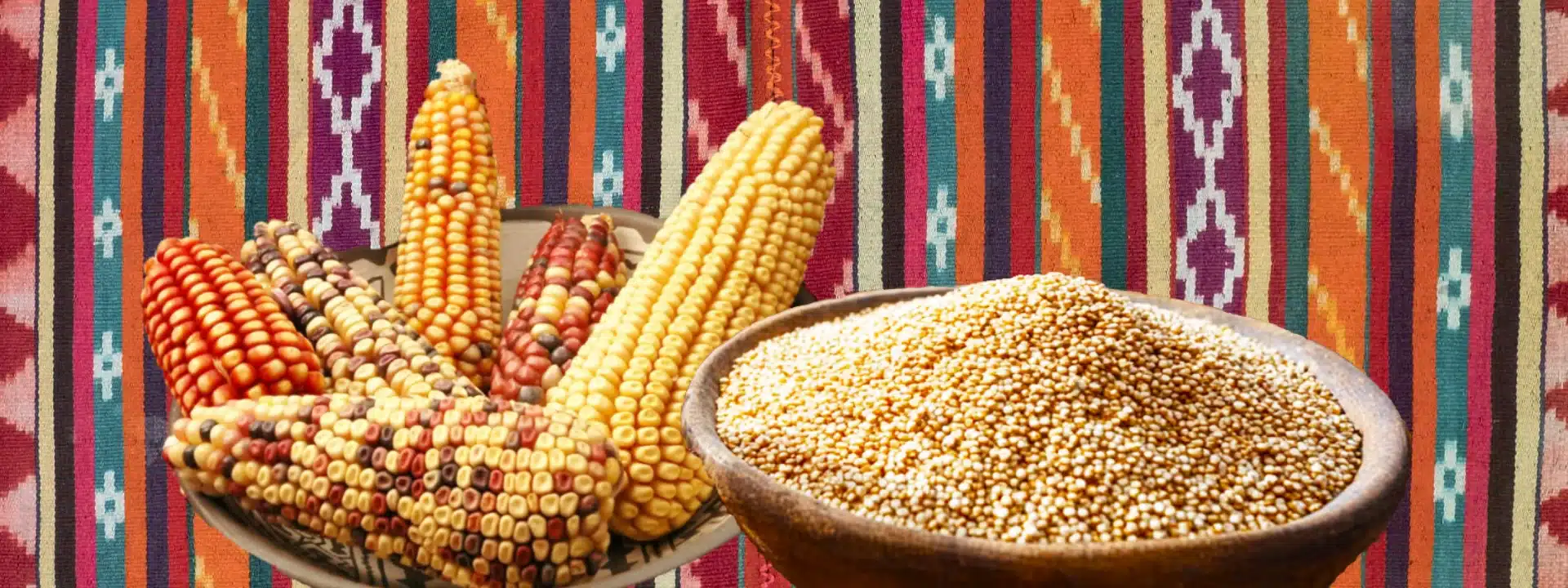 traditional Inca food dishes: ingredients corn and Andean grains Peru
