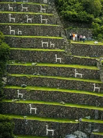Choquequirao Trek: Distance, Difficulty, Cost, and Itinerary Guide for 2026 5 Agricultural terraces featuring llama-shaped stone designs at Choquequirao.