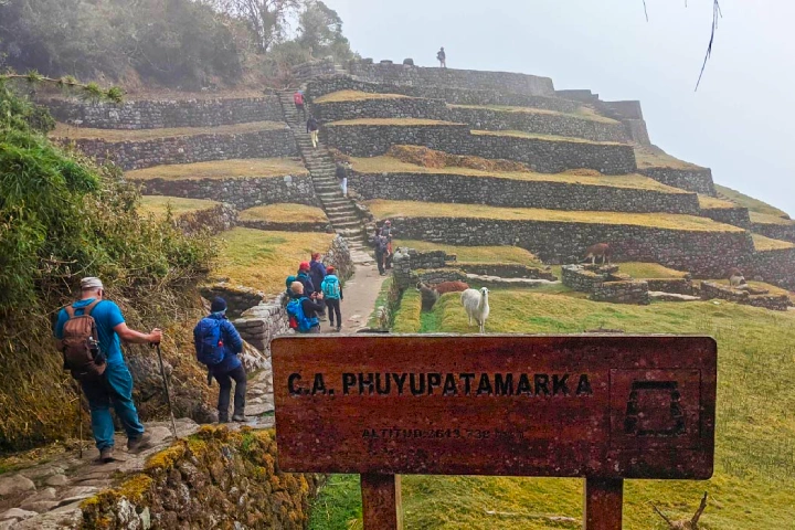 Classic Inca Trail vs Short Inca Trail: Which Trek Is Right for You? 6 Hikers exploring the Phuyupatamarca archaeological site on the Classic Inca Trail