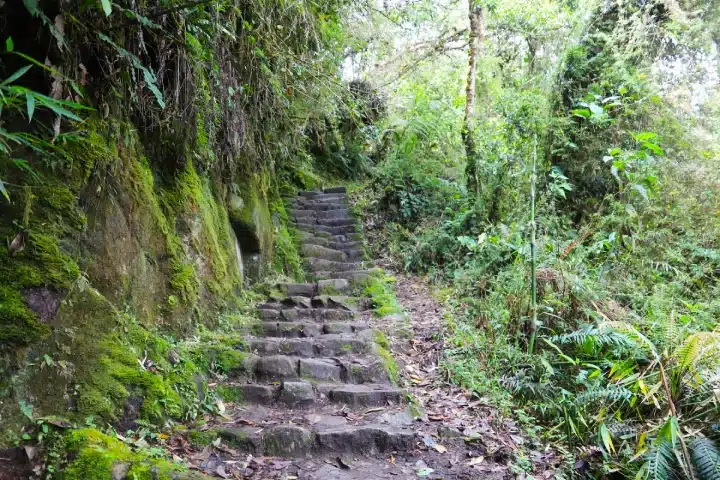 Patrimonio de la Humanidad en Perú: Guía de los 13 Sitios UNESCO 9 Ancient section of the Qhapaq Ñan, the Inca road network recognized by UNESCO