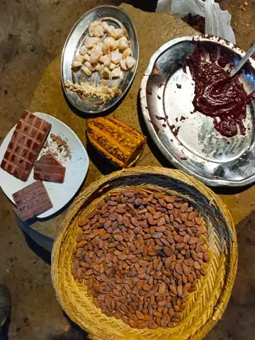 Secretos del Cacao en Cusco: Guía para Viajeros 4 Granos de cacao y chocolate en Cusco