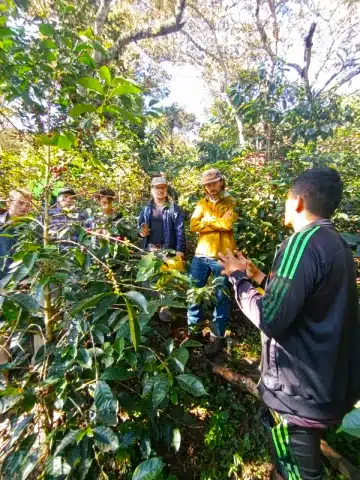 Secretos del Cacao en Cusco: Guía para Viajeros 5 Visitantes explorando una finca de cacao en Cusco
