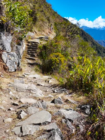 How Difficult Is the Inca Trail? Complete Difficulty Guide (Classic vs Short Trail) 5 Ancient stone steps along the Inca Trail to Machu Picchu