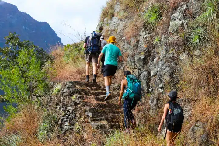 Way to Machu Picchu: discover the train and trekking routes 6 Travelers hiking the Inca Jungle Trek to Machu Picchu