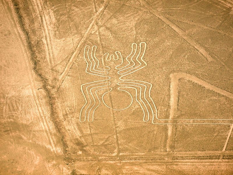 Aerial View of the famous Spider during the Nazca Lines Tour with CondeTravel