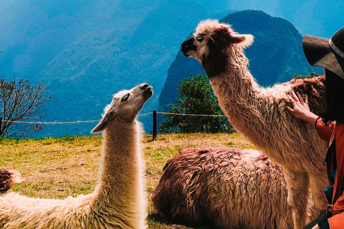 vacation-in-peru-travel-tour